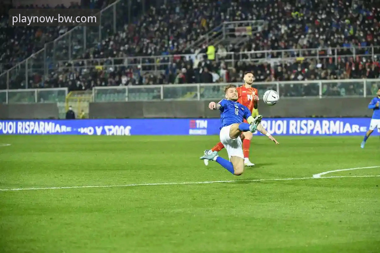 意大利世界杯出局详解：宝威体育平台观赛体验与深度分析