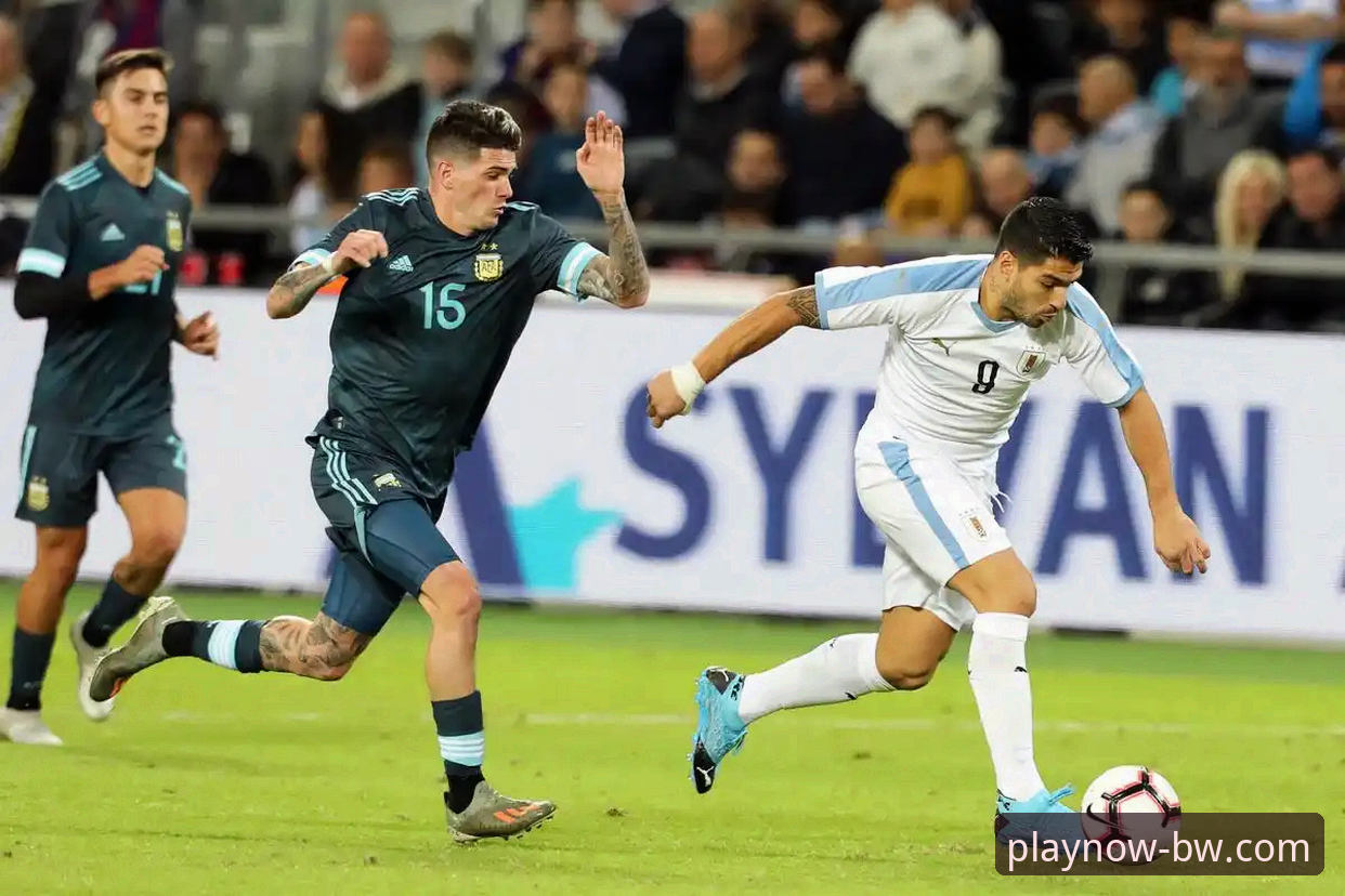 阿根廷友谊赛大胜战术详解与观赛体验分享